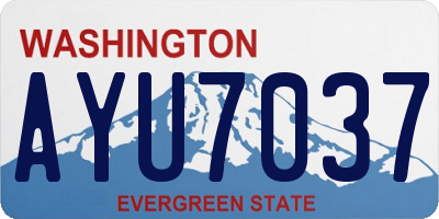 WA license plate AYU7037