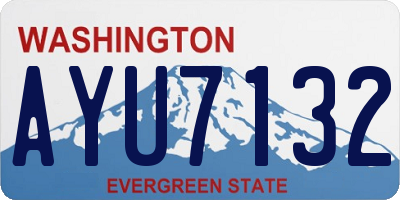 WA license plate AYU7132