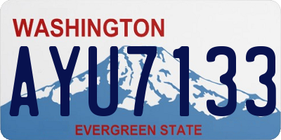 WA license plate AYU7133