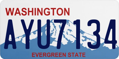 WA license plate AYU7134