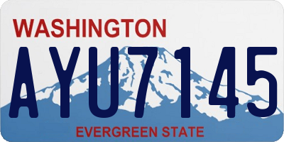 WA license plate AYU7145