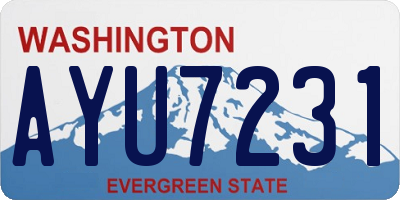 WA license plate AYU7231