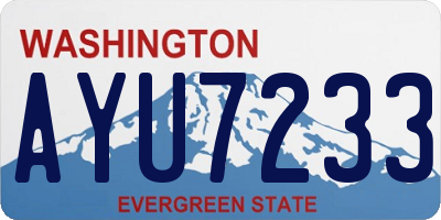 WA license plate AYU7233