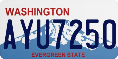 WA license plate AYU7250