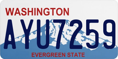 WA license plate AYU7259