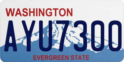 WA license plate AYU7300