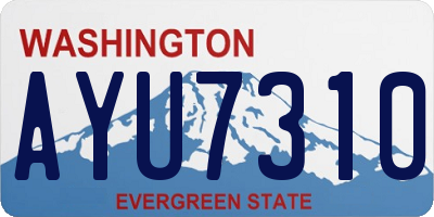 WA license plate AYU7310