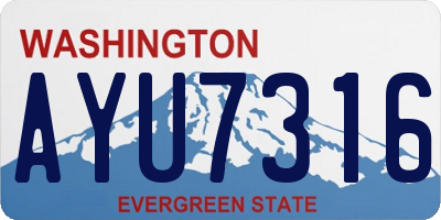 WA license plate AYU7316