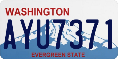 WA license plate AYU7371