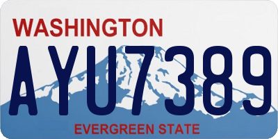 WA license plate AYU7389