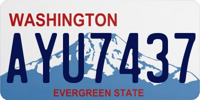 WA license plate AYU7437