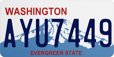 WA license plate AYU7449