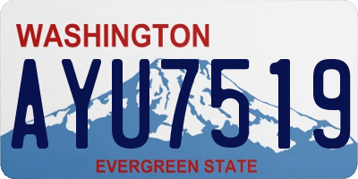 WA license plate AYU7519