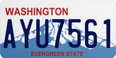 WA license plate AYU7561