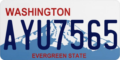 WA license plate AYU7565