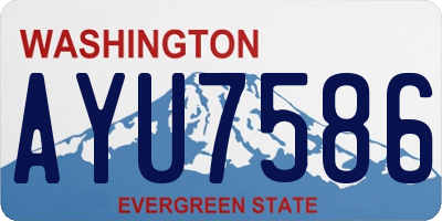WA license plate AYU7586