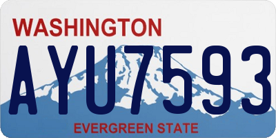 WA license plate AYU7593
