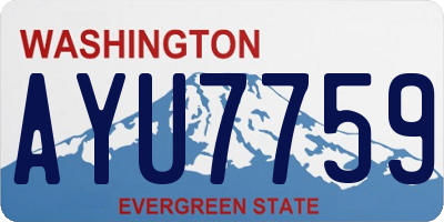 WA license plate AYU7759