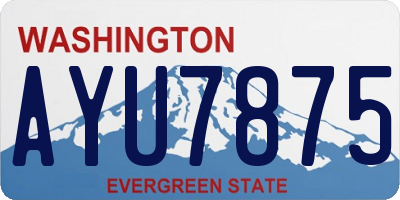 WA license plate AYU7875
