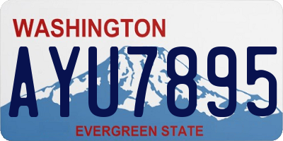 WA license plate AYU7895