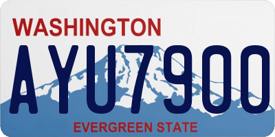 WA license plate AYU7900