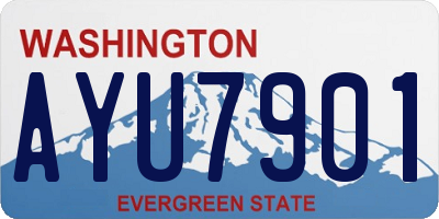 WA license plate AYU7901
