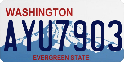 WA license plate AYU7903