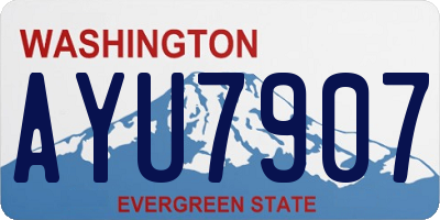WA license plate AYU7907