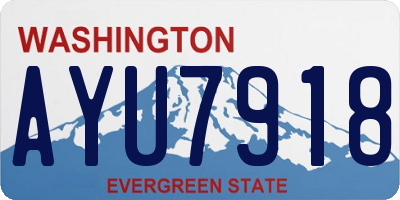 WA license plate AYU7918