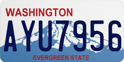 WA license plate AYU7956