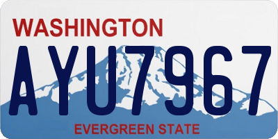 WA license plate AYU7967
