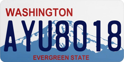 WA license plate AYU8018