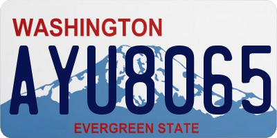 WA license plate AYU8065