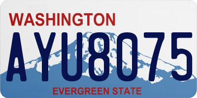 WA license plate AYU8075