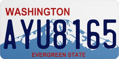 WA license plate AYU8165