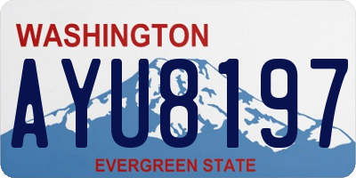 WA license plate AYU8197