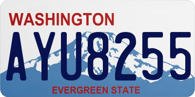 WA license plate AYU8255