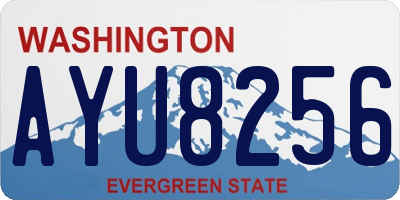 WA license plate AYU8256