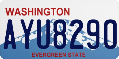 WA license plate AYU8290