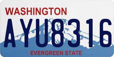 WA license plate AYU8316