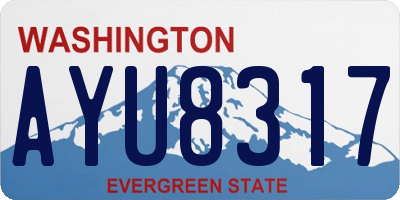 WA license plate AYU8317