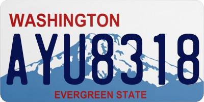 WA license plate AYU8318