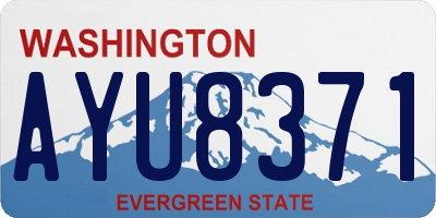 WA license plate AYU8371