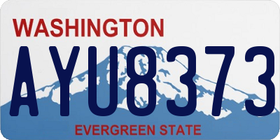 WA license plate AYU8373