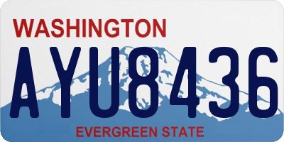 WA license plate AYU8436