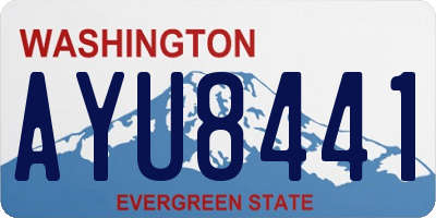 WA license plate AYU8441