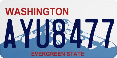 WA license plate AYU8477