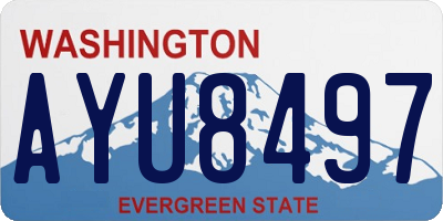 WA license plate AYU8497