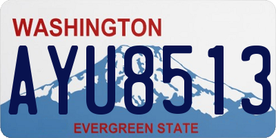 WA license plate AYU8513