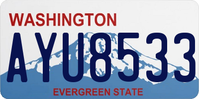 WA license plate AYU8533